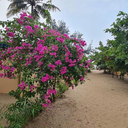 Love Temple Beach Resort Arambol Eksteriør bilde