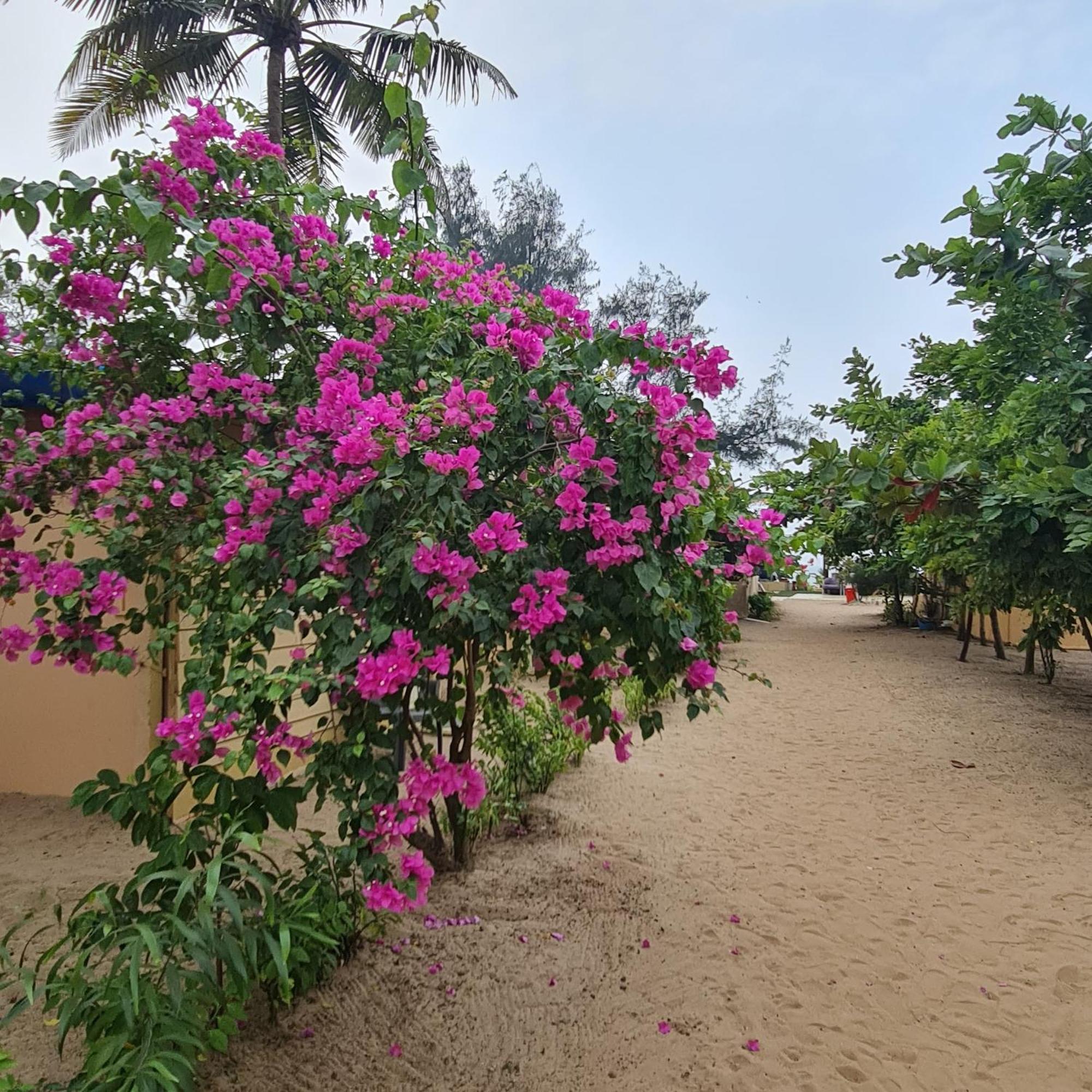 Love Temple Beach Resort Arambol Eksteriør bilde